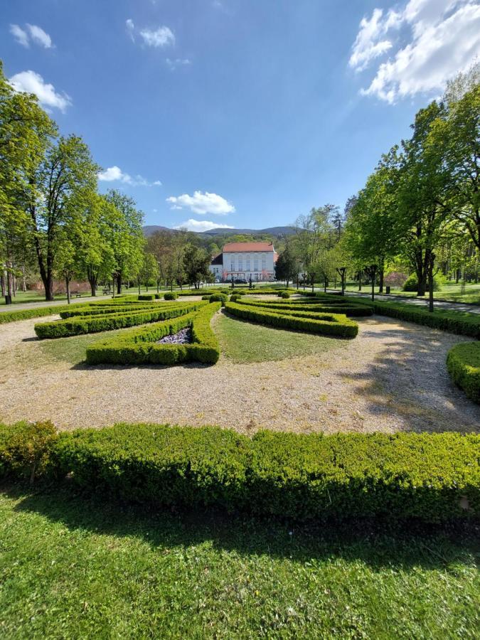 Aleks Sobe Hotel Banja Koviljaca Luaran gambar