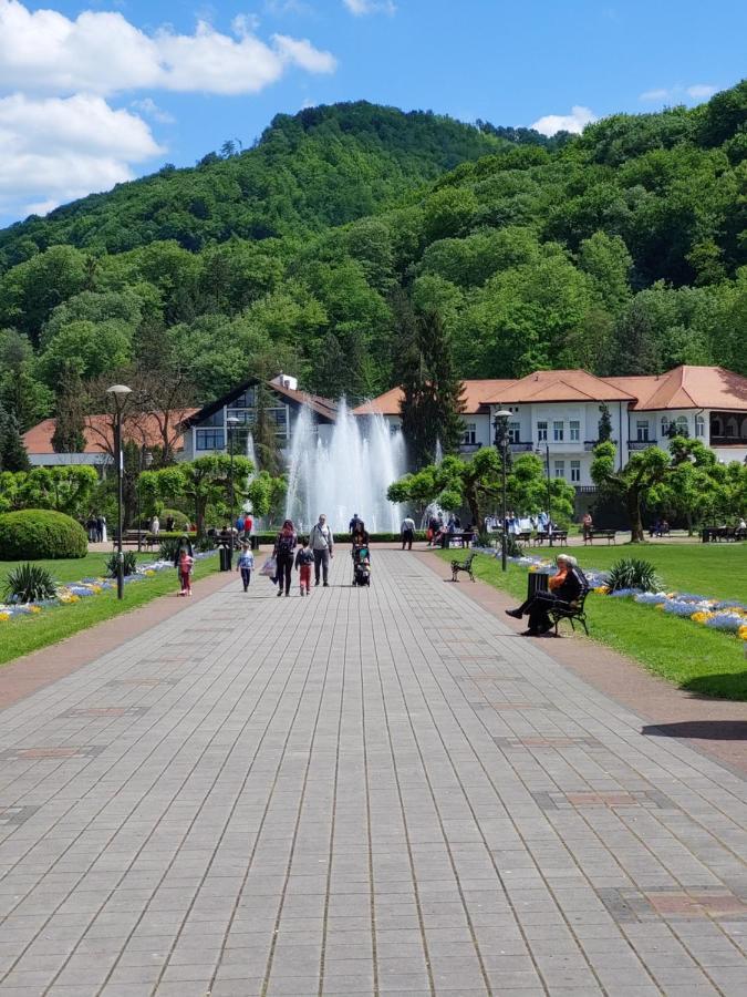 Aleks Sobe Hotel Banja Koviljaca Luaran gambar